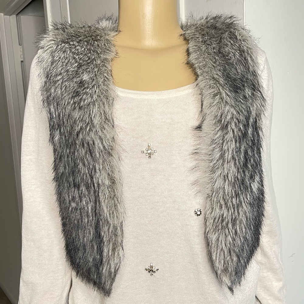 ALDO Faux Fur Vest